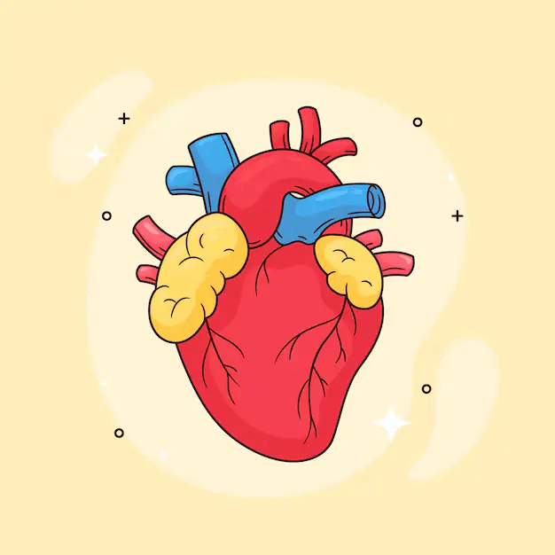 Cholesterol Management